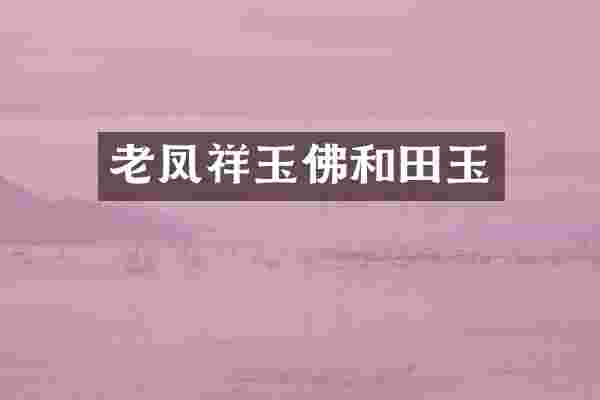 老凤祥玉佛和田玉