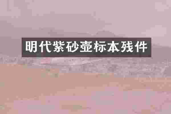 明代紫砂壶标本残件