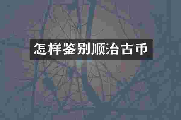 怎样鉴别顺治古币