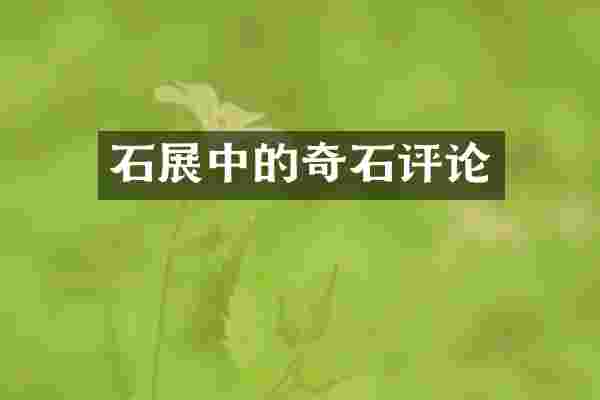 石展中的奇石评论