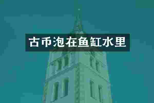 古币泡在鱼缸水里
