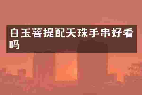 白玉菩提配天珠手串好看吗