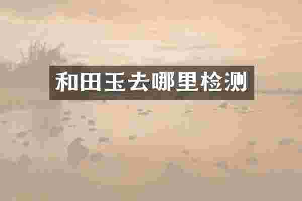 和田玉去哪里检测