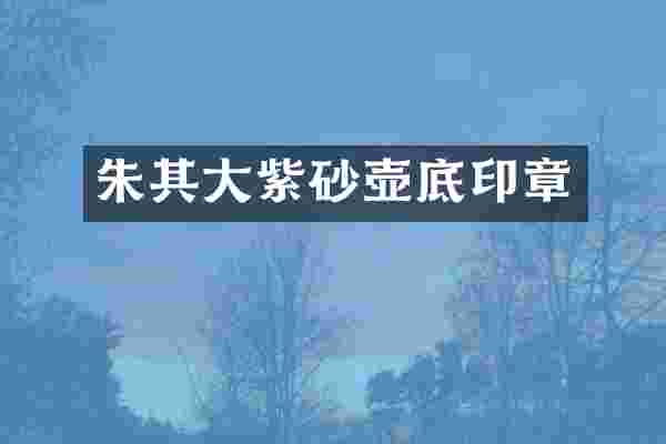 朱其大紫砂壶底印章