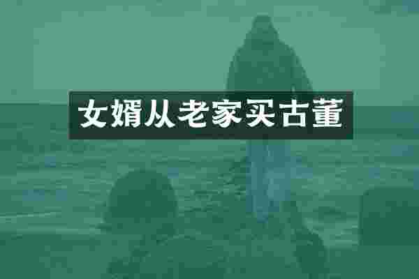 女婿从老家买古董