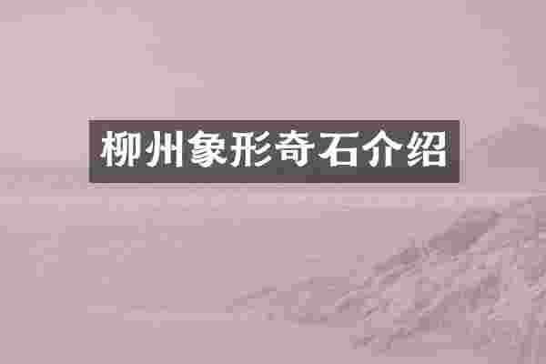 柳州象形奇石介绍