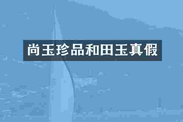 尚玉珍品和田玉真假