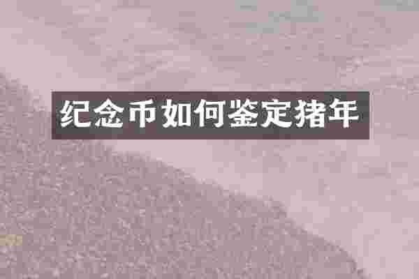 纪念币如何鉴定猪年