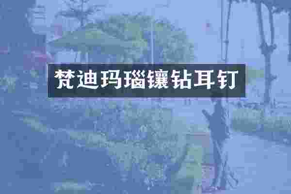 梵迪玛瑙镶钻耳钉