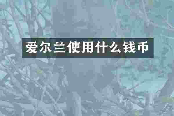 爱尔兰使用什么钱币