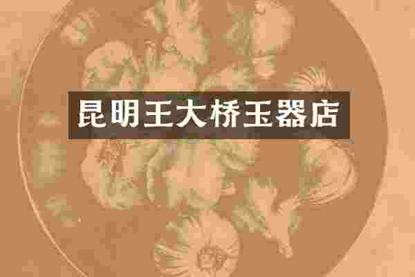 昆明王大桥玉器店
