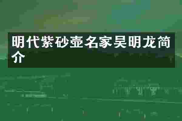 明代紫砂壶名家吴明龙简介