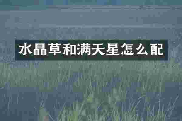 水晶草和满天星怎么配