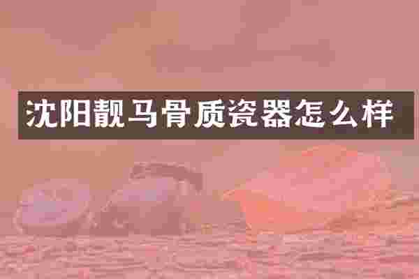 沈阳靓马骨质瓷器怎么样