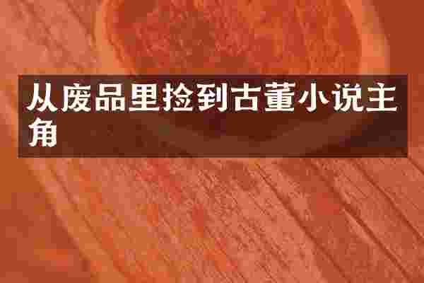 从废品里捡到古董小说主角