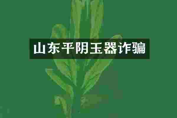 山东平阴玉器诈骗