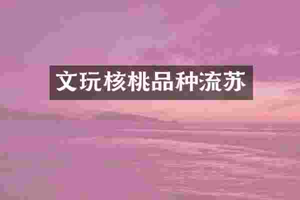 文玩核桃品种流苏