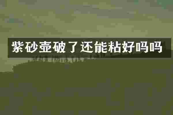 紫砂壶破了还能粘好吗吗