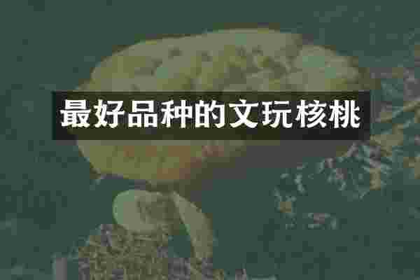 最好品种的文玩核桃