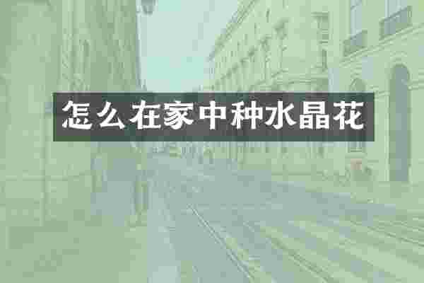 怎么在家中种水晶花