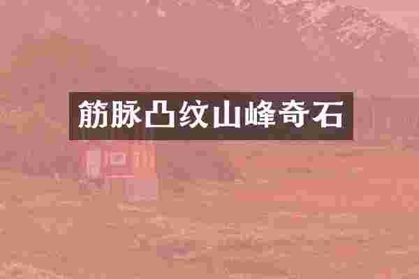 筋脉凸纹山峰奇石