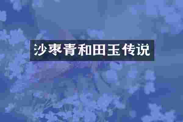 沙枣青和田玉传说