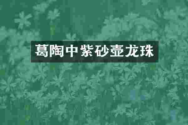 葛陶中紫砂壶龙珠