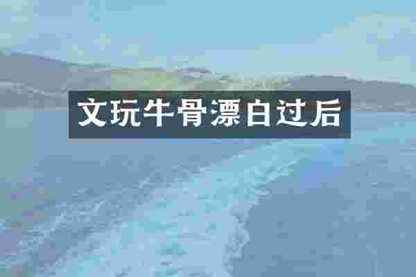 文玩牛骨漂白过后