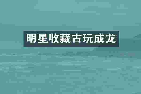 明星收藏古玩成龙
