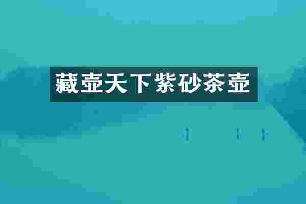 藏壶天下紫砂茶壶