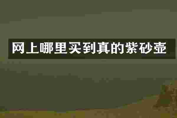 网上哪里买到真的紫砂壶