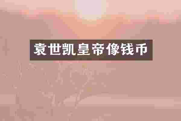 袁世凯皇帝像钱币