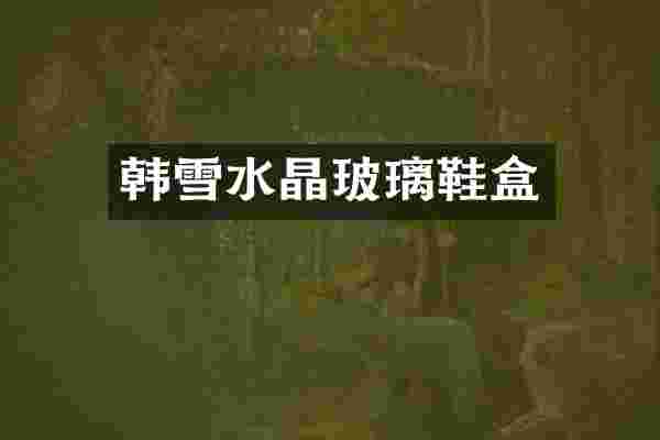 韩雪水晶玻璃鞋盒