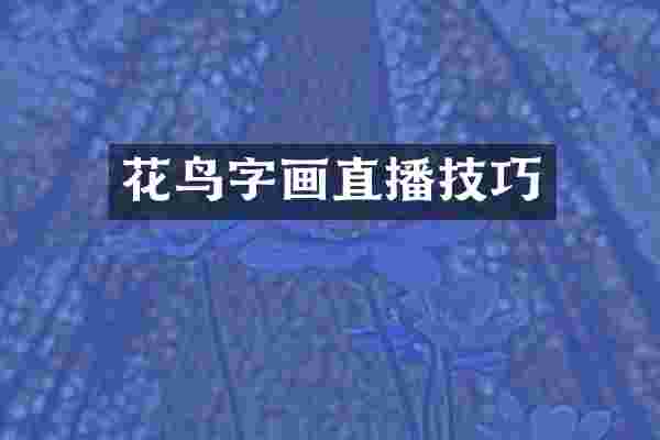 花鸟字画直播技巧