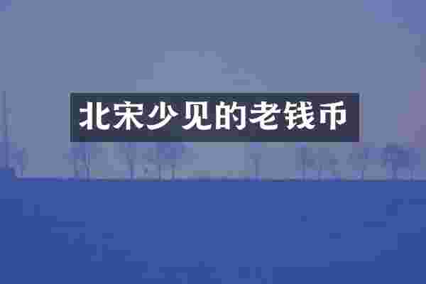 北宋少见的老钱币