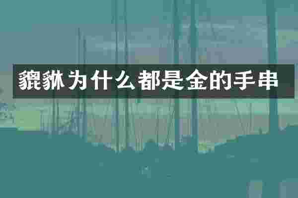 貔貅为什么都是金的手串