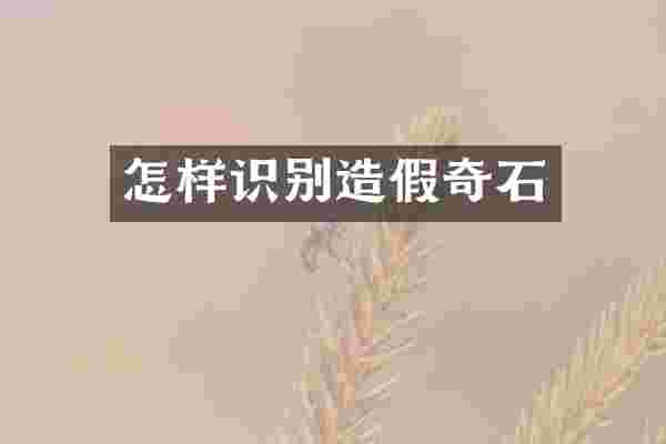 怎样识别造假奇石