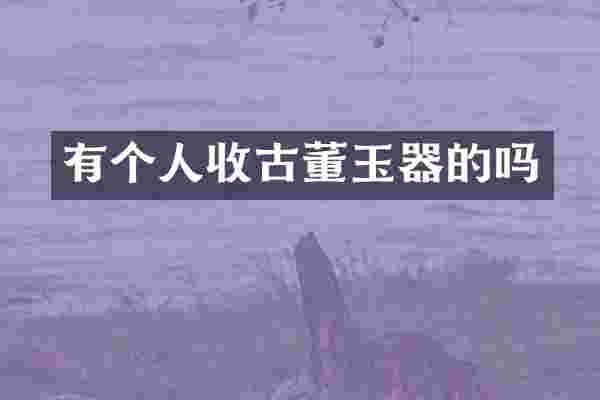 有个人收古董玉器的吗