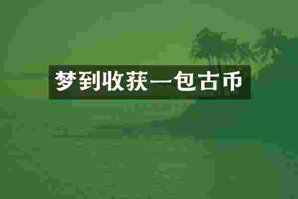 梦到收获一包古币