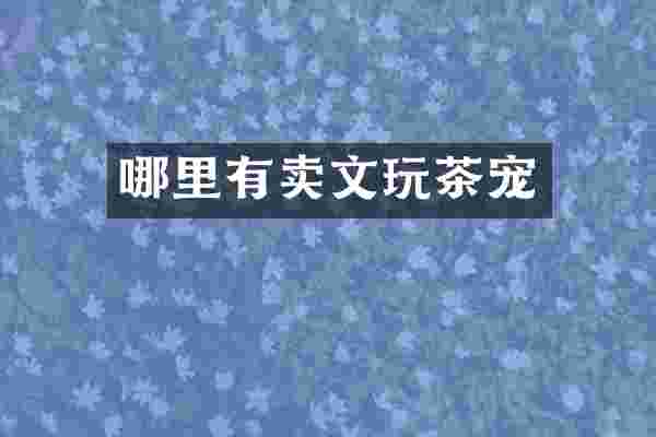 哪里有卖文玩茶宠