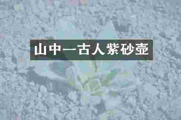 山中一古人紫砂壶