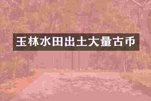 玉林水田出土大量古币