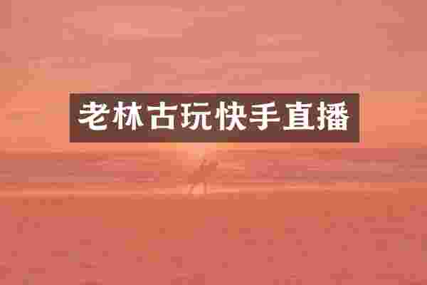 老林古玩快手直播