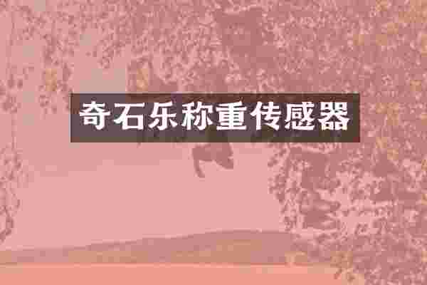 奇石乐称重传感器