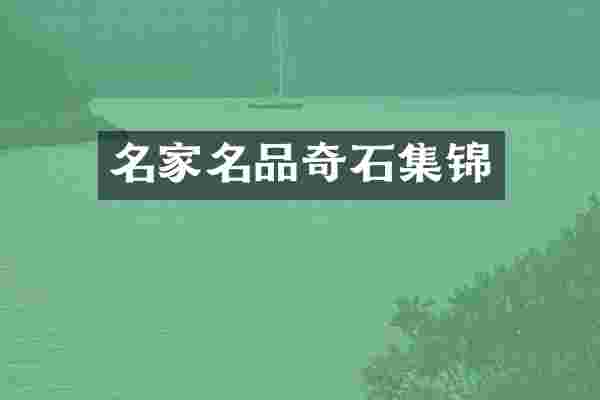 名家名品奇石集锦
