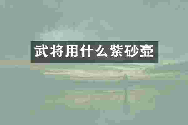 武将用什么紫砂壶