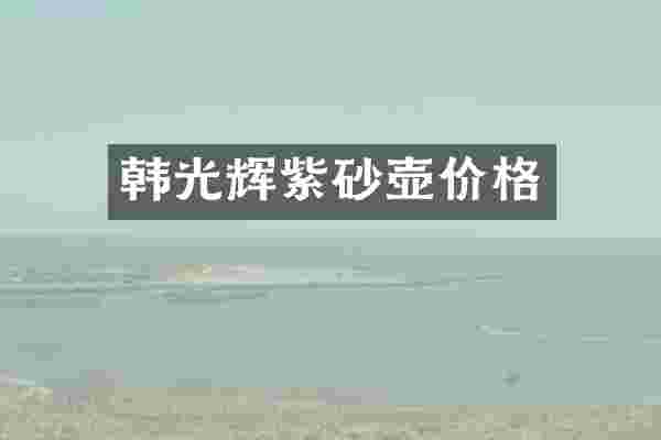 韩光辉紫砂壶价格