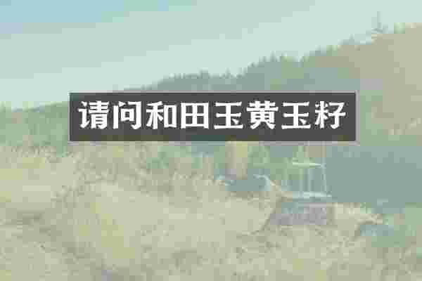 请问和田玉黄玉籽