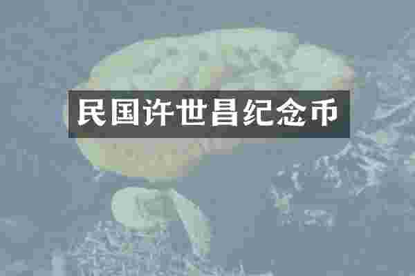 民国许世昌纪念币