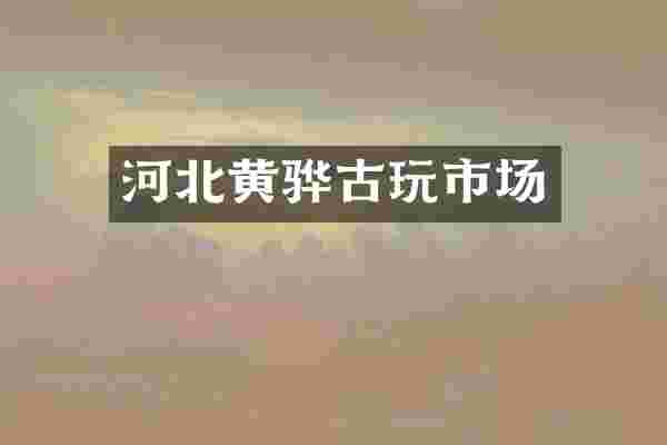 河北黄骅古玩市场